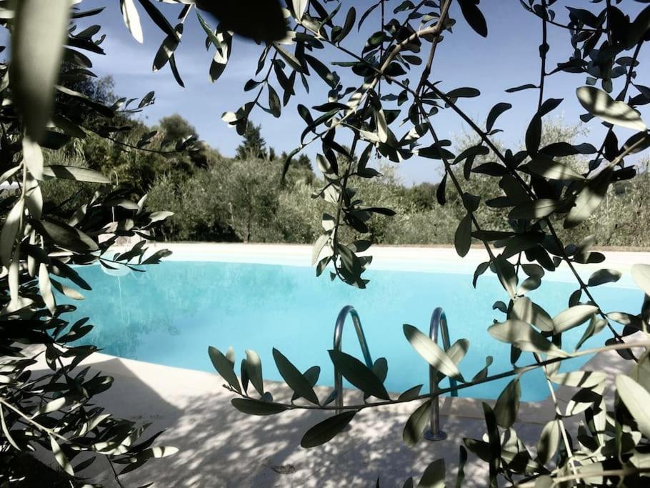Podere San Giorgio Palaia Luaran gambar